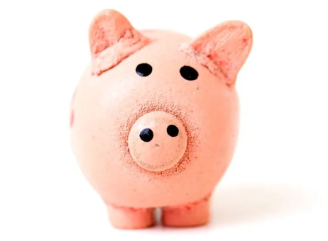 piggy bank image